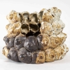Sculpture n°28 en céramique par Antoine Tarot | Biron |||||||