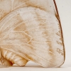 Cachet « Papillons Ailes Fermées » verre blanc patiné sépia de René LALIQUE | Biron Cachet "Papillons Ailes Fermées" verre blanc patiné sépia de René LALIQUE