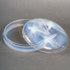 Boîte « Libellules » verre opalescent de René LALIQUE | Biron Boîte "Libellules" verre opalescent de René LALIQUE