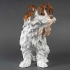 Bologneser Hund ou Chien de Bologne en porcelaine de saxe, manufacture de Meissen, XIXe siècle. | Biron Bologneser Hund ou Chien de Bologne en porcelaine de saxe, manufacture de Meissen, XIXe siècle.