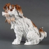 Bologneser Hund ou Chien de Bologne en porcelaine de saxe, manufacture de Meissen, XIXe siècle. | Biron Bologneser Hund ou Chien de Bologne en porcelaine de saxe, manufacture de Meissen, XIXe siècle.