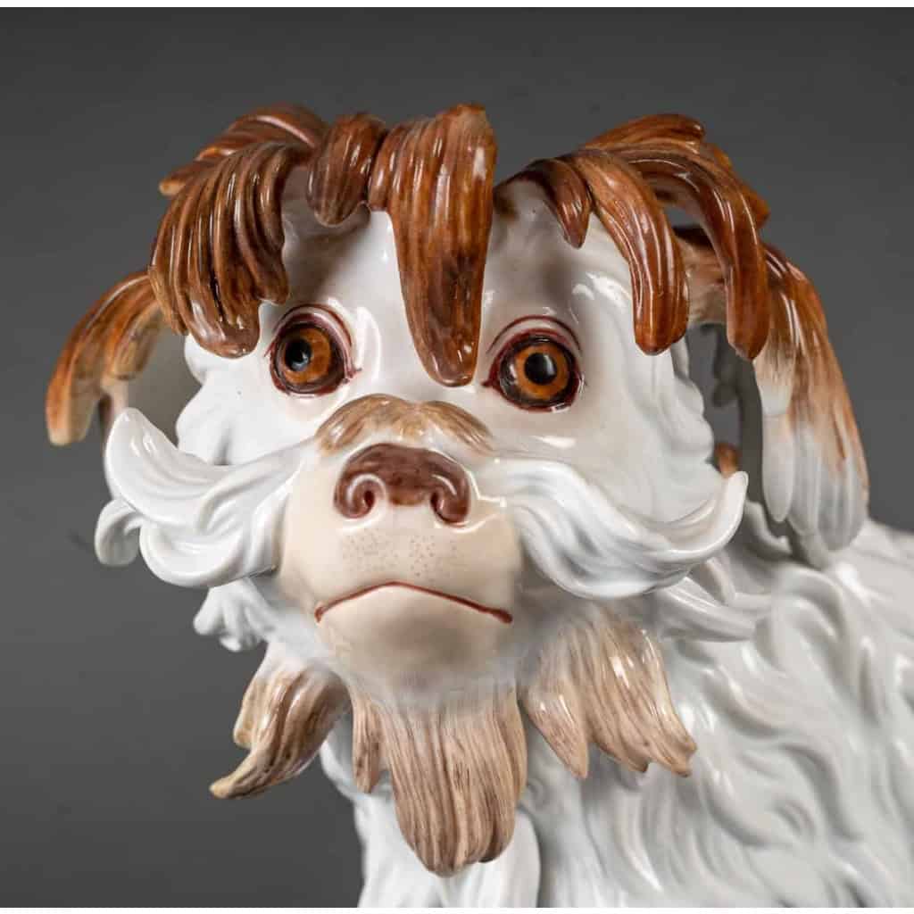 Bologneser Hund ou Chien de Bologne en porcelaine de saxe, manufacture de Meissen, XIXe siècle. | Biron Bologneser Hund ou Chien de Bologne en porcelaine de saxe, manufacture de Meissen, XIXe siècle.