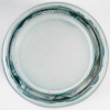 Vase « Chevaux » verre blanc patiné turquoise de René LALIQUE | Biron Vase "Chevaux" verre blanc patiné turquoise de René LALIQUE