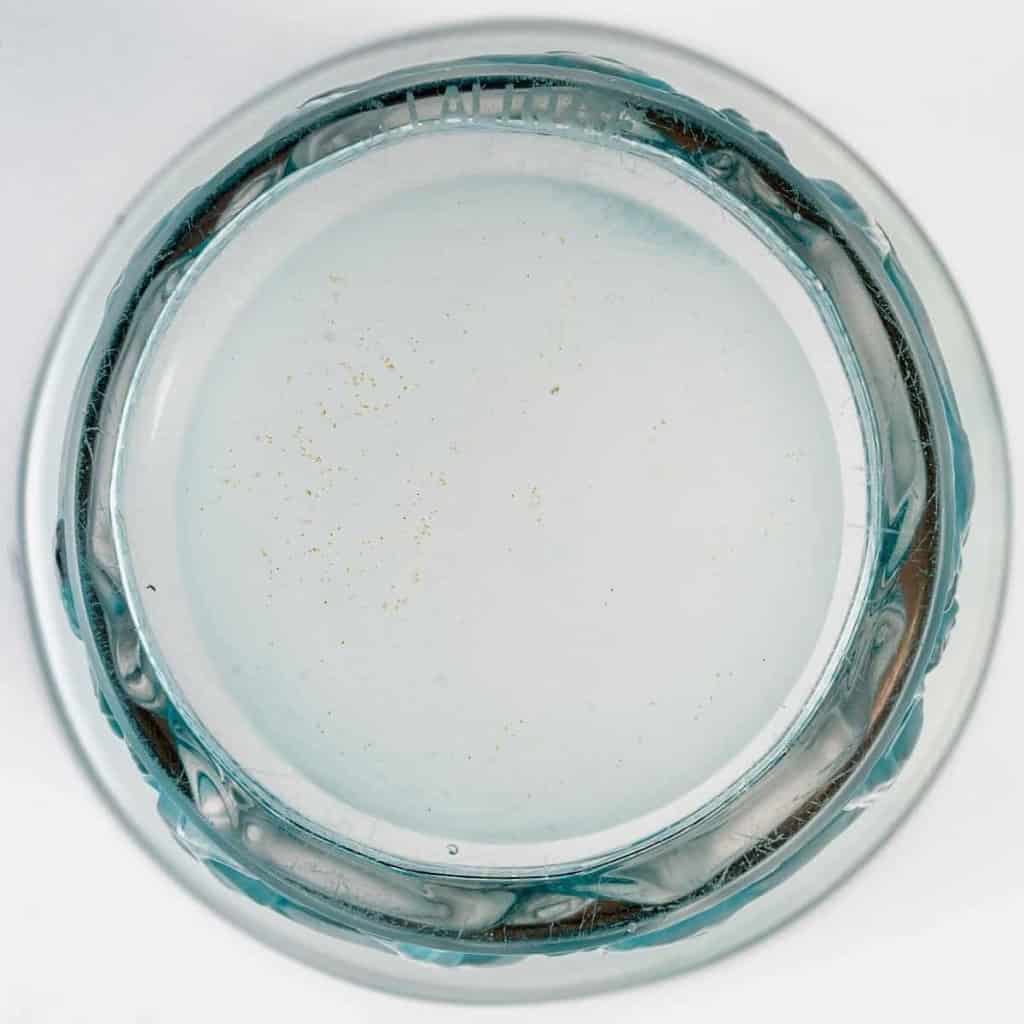 Vase « Chevaux » verre blanc patiné turquoise de René LALIQUE | Biron Vase "Chevaux" verre blanc patiné turquoise de René LALIQUE