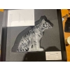 Sculpture « Tigre » cristal blanc émaillé noir de LALIQUE FRANCE – neuf en coffret avec certificat | Biron Sculpture "Tigre" cristal blanc émaillé noir de LALIQUE FRANCE - neuf en coffret avec certificat