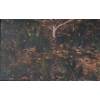 Une paire de tableaux huile sur toile fin XIXème siècle | Biron Une paire de tableaux huile sur toile fin XIXème siècle