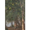 Une paire de tableaux huile sur toile fin XIXème siècle | Biron Une paire de tableaux huile sur toile fin XIXème siècle