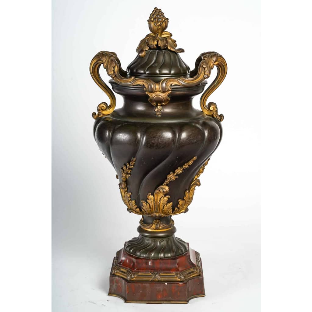 Urne en bronze à double patine sur socle en marbre rouge griotte, style Louis XV, XIXème siècle | Biron |||||||||