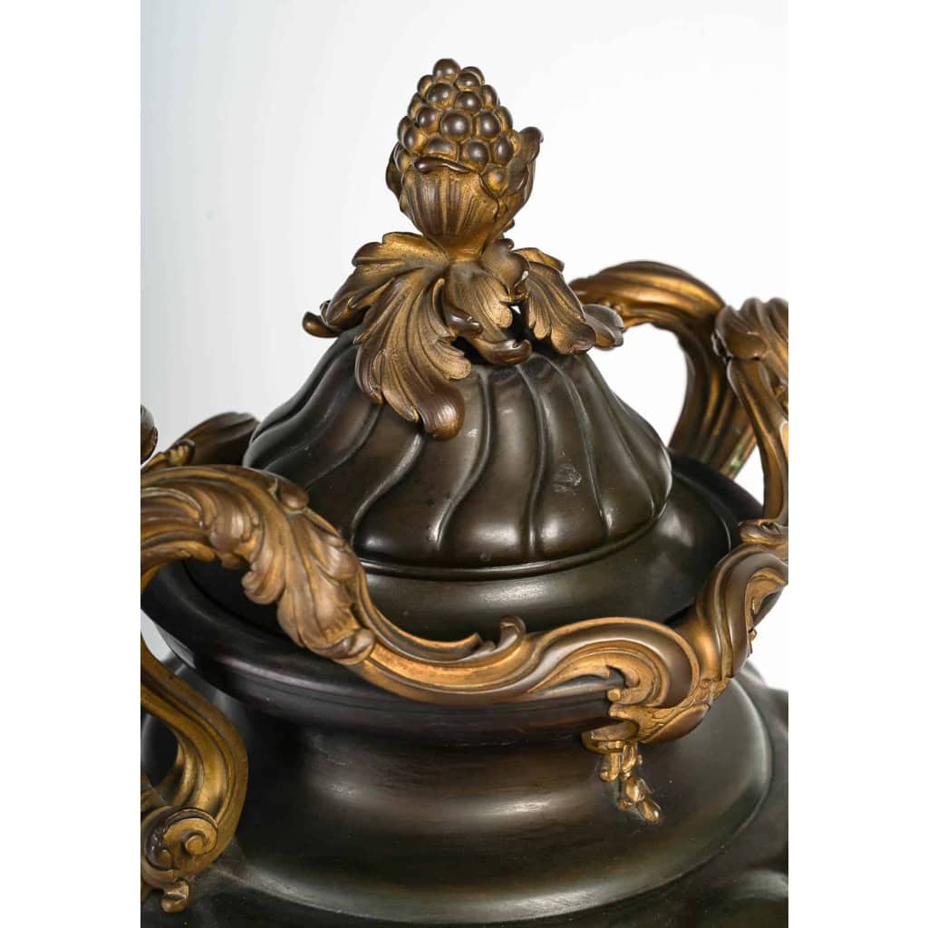 Urne en bronze à double patine sur socle en marbre rouge griotte, style Louis XV, XIXème siècle | Biron Urne en bronze à double patine sur socle en marbre rouge griotte, style Louis XV, XIXème siècle