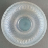 Vase « Actinia » verre opalescent de René LALIQUE | Biron Vase "Actinia" verre opalescent de René LALIQUE