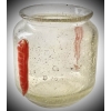 SCHNEIDER PETIT VASE BIJOUX