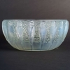 Coupe « Perruches » verre opalescent patiné vert de René LALIQUE | Biron |||||||