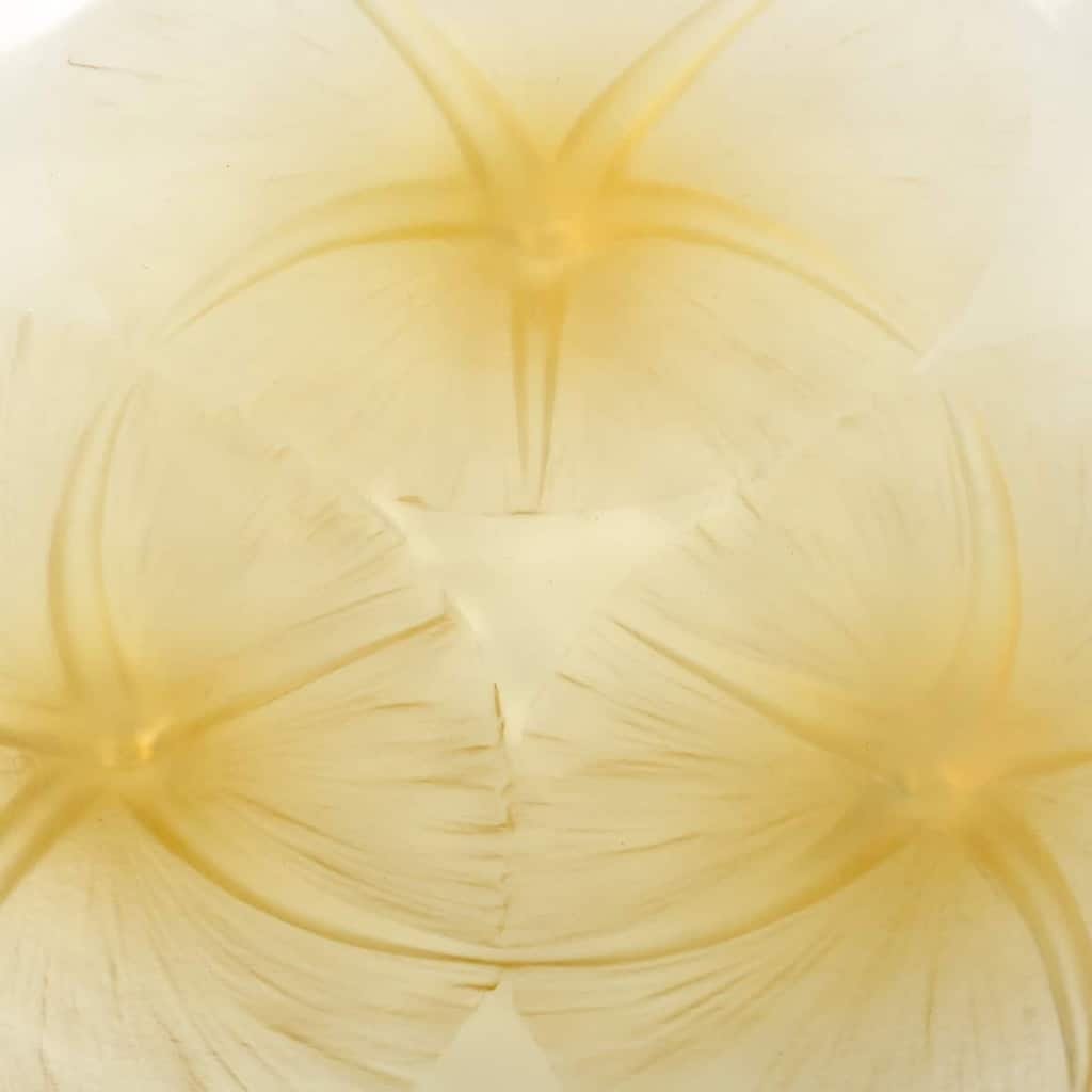 Coupe « Volubilis » verre jaune opalescent de René LALIQUE | Biron Coupe "Volubilis" verre jaune opalescent de René LALIQUE