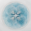 Service « Coquilles » verre blanc patiné bleu – 6 Pièces | Biron Service "Coquilles" verre blanc patiné bleu - 6 Pièces