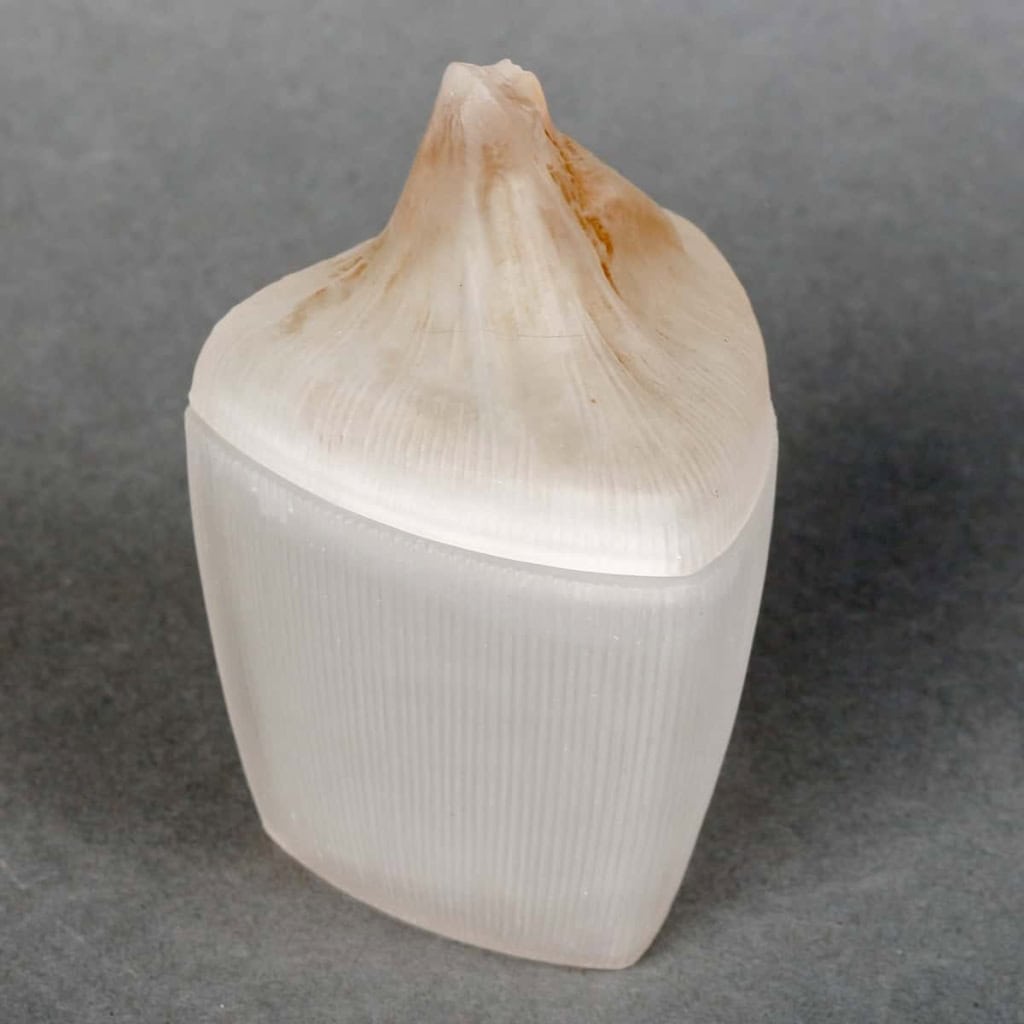 Boîte « Tête de Femme » verre blanc patiné sépia de René LALIQUE pour Coty | Biron Boîte "Tête de Femme" verre blanc patiné sépia de René LALIQUE pour Coty