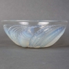 Coupe « Fleuron » verre opalescent de René LALIQUE | Biron Coupe "Fleuron" verre opalescent de René LALIQUE