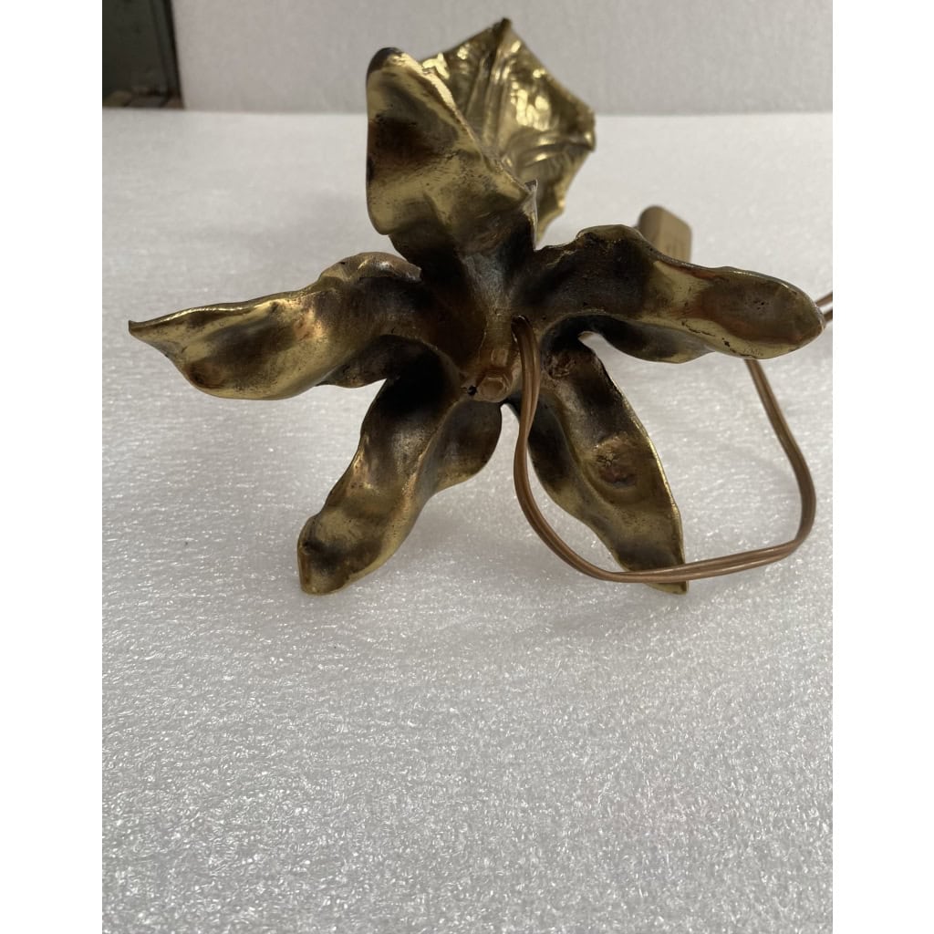 1900′ Paire De Lampes Fleurs En Bronze | Biron 1900′ Paire De Lampes Fleurs En Bronze