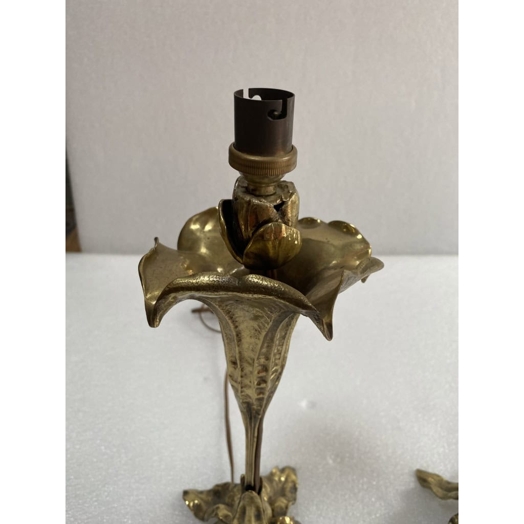 1900′ Paire De Lampes Fleurs En Bronze | Biron 1900′ Paire De Lampes Fleurs En Bronze