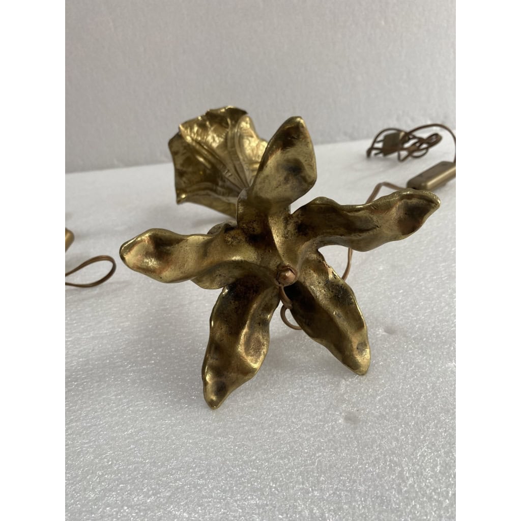 1900′ Paire De Lampes Fleurs En Bronze | Biron 1900′ Paire De Lampes Fleurs En Bronze