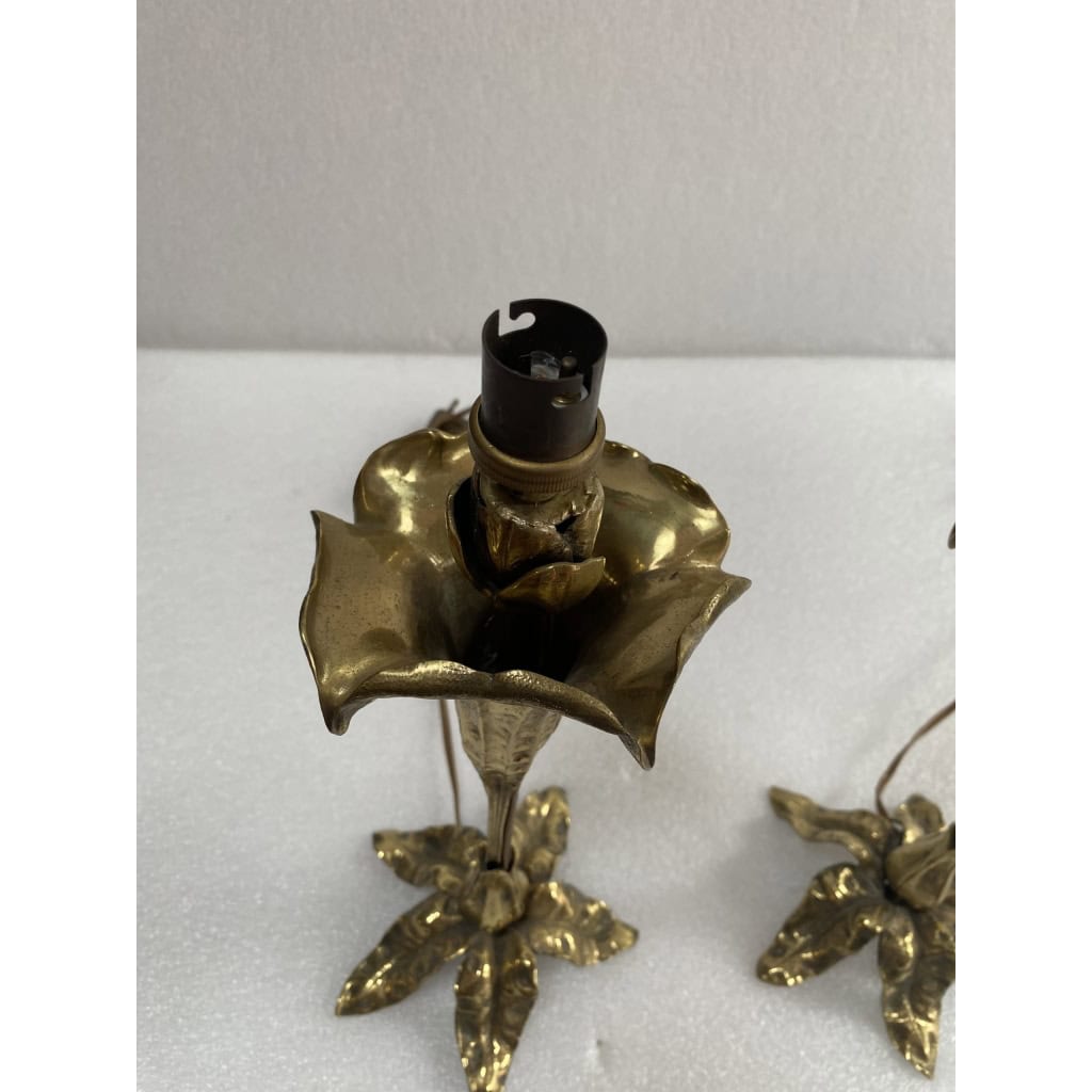 1900′ Paire De Lampes Fleurs En Bronze | Biron 1900′ Paire De Lampes Fleurs En Bronze