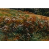 Huile sur toile, Paysage de verdure et fleurs, signeé et datée, Maurice Lessertieux, 1898 | Biron Huile sur toile, Paysage de verdure et fleurs, signeé et datée, Maurice Lessertieux, 1898