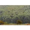 Huile sur toile, Paysage de verdure et fleurs, signeé et datée, Maurice Lessertieux, 1898 | Biron Huile sur toile, Paysage de verdure et fleurs, signeé et datée, Maurice Lessertieux, 1898