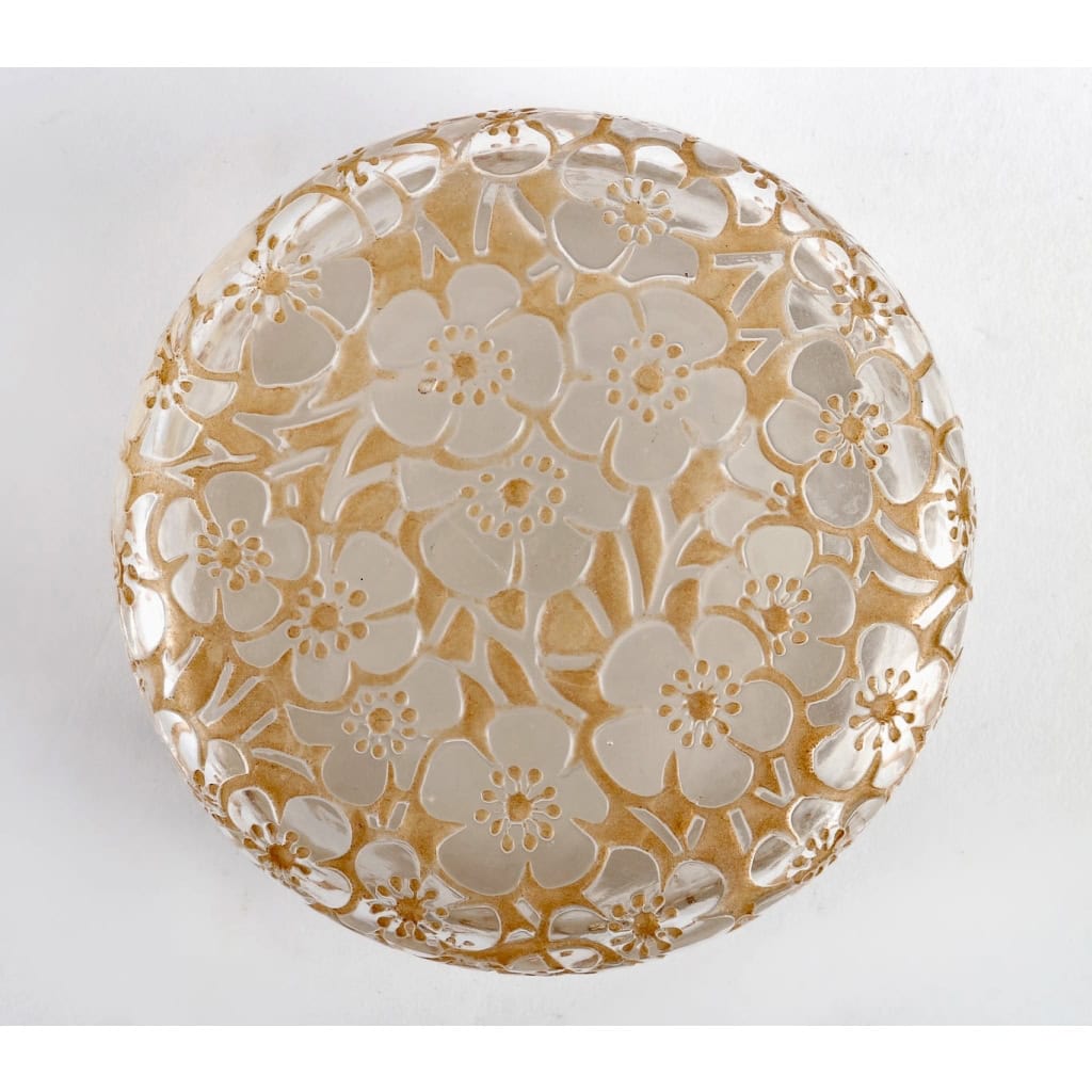 Boîte « Emiliane » verre blanc patiné sépia de René LALIQUE | Biron Boîte "Emiliane" verre blanc patiné sépia de René LALIQUE