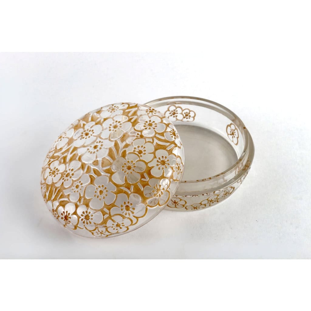 Boîte « Emiliane » verre blanc patiné sépia de René LALIQUE | Biron Boîte "Emiliane" verre blanc patiné sépia de René LALIQUE