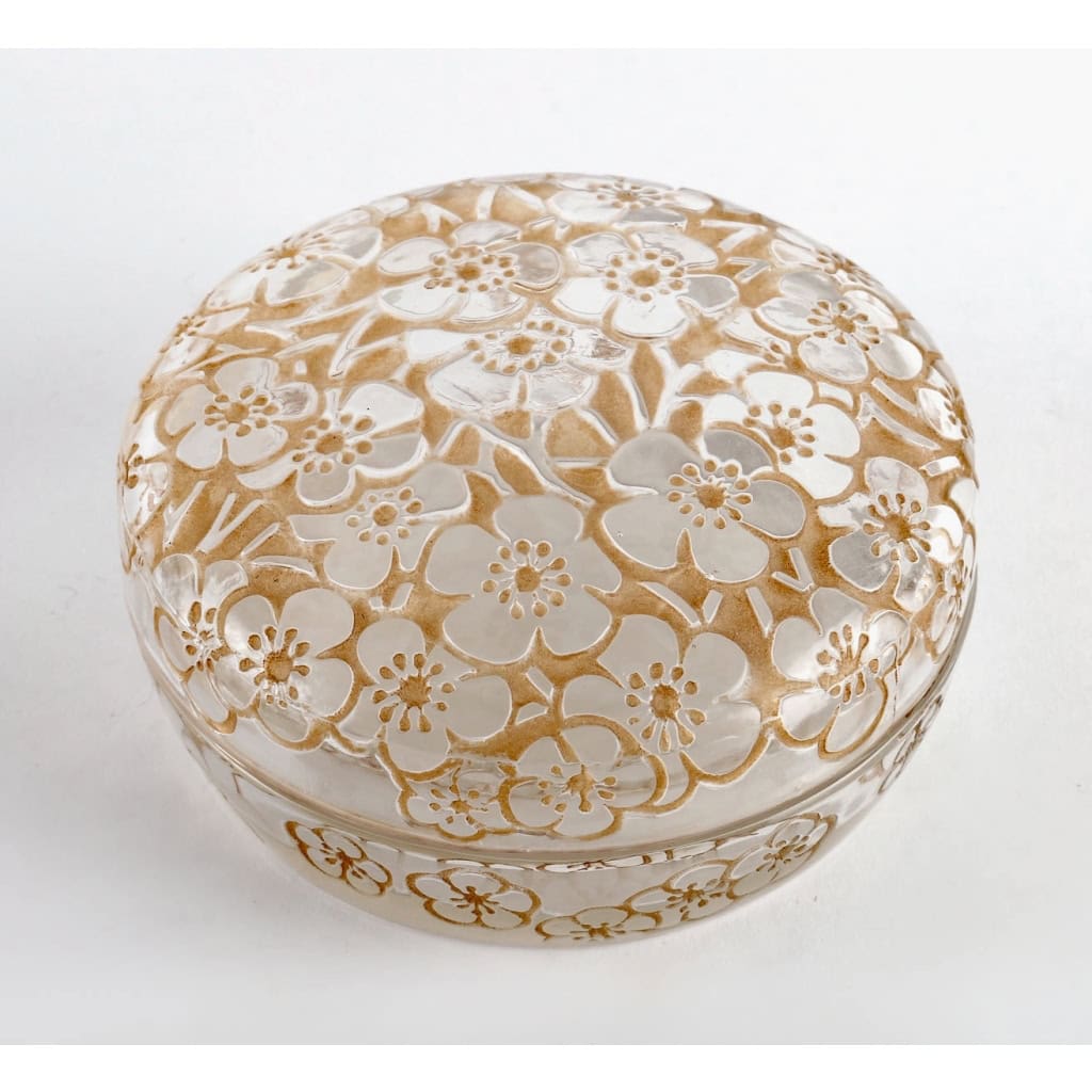 Boîte « Emiliane » verre blanc patiné sépia de René LALIQUE | Biron Boîte "Emiliane" verre blanc patiné sépia de René LALIQUE