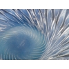 Coupe « Algues » verre opalescent de René LALIQUE | Biron Coupe "Algues" verre opalescent de René LALIQUE