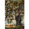 Henri Joseph HARPIGNIES (1819 – 1916) 14