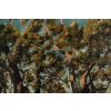 Henri Joseph HARPIGNIES (1819 – 1916) 15