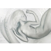 Coupe « Calypso » verre blanc patiné bleu de René LALIQUE | Biron Coupe "Calypso" verre blanc patiné bleu de René LALIQUE