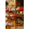 Huile sur toile, « La marchande de fleurs de Venise », par Cesare Vianello, fin XIXème siècle | Biron Huile sur toile, "La marchande de fleurs de Venise", par Cesare Vianello, fin XIXème siècle