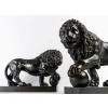 Paire de Lions Médicis en Bronze XIXème Siècle | Biron |||||||||