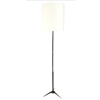 1950 Lampadaire de La Maison Arlus | Biron ||||