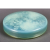René Lalique (1860-1945) Boite Ronde Grande Muguet Vert Mint Opalescent 1921 | Biron ||||||||||