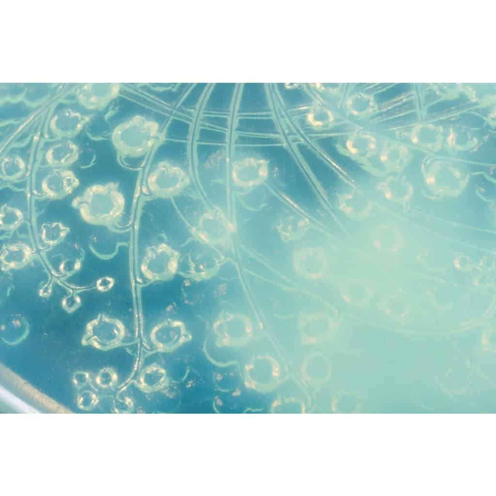 René Lalique (1860-1945) Boite Ronde Grande Muguet Vert Mint Opalescent 1921 | Biron René Lalique (1860-1945) Boite Ronde Grande Muguet Vert Mint Opalescent 1921