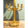 Paire de grandes lampes en bronze doré de style Louis XVI. | Biron Paire de grandes lampes en bronze doré de style Louis XVI.
