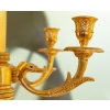 Paire de grandes lampes en bronze doré de style Louis XVI. | Biron Paire de grandes lampes en bronze doré de style Louis XVI.