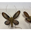 1970’ Paire D’Appliques Papillon en Bronze ou Laiton, Duval Brasseur Ou Isabelle Faure, 1 Ampoule, Ailes d’Agate | Biron 1970’ Paire D’Appliques Papillon en Bronze ou Laiton, Duval Brasseur Ou Isabelle Faure, 1 Ampoule, Ailes d’Agate