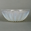 Coupe « Oursin » verre opalescent de René LALIQUE | Biron Coupe "Oursin" verre opalescent de René LALIQUE