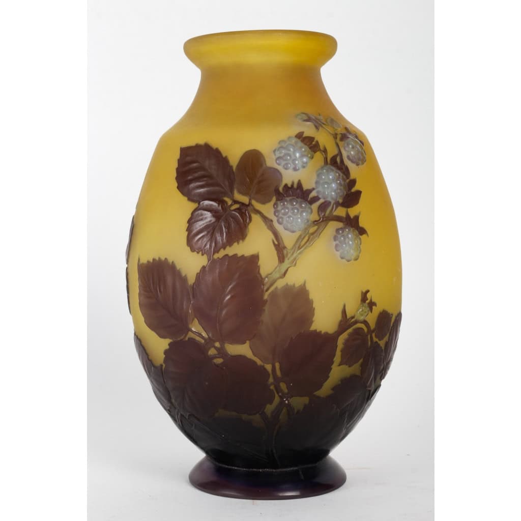 Émile Gallé (1846-1904) Vase « Framboisier » en verre soufflé-moulé | Biron ||||||||
