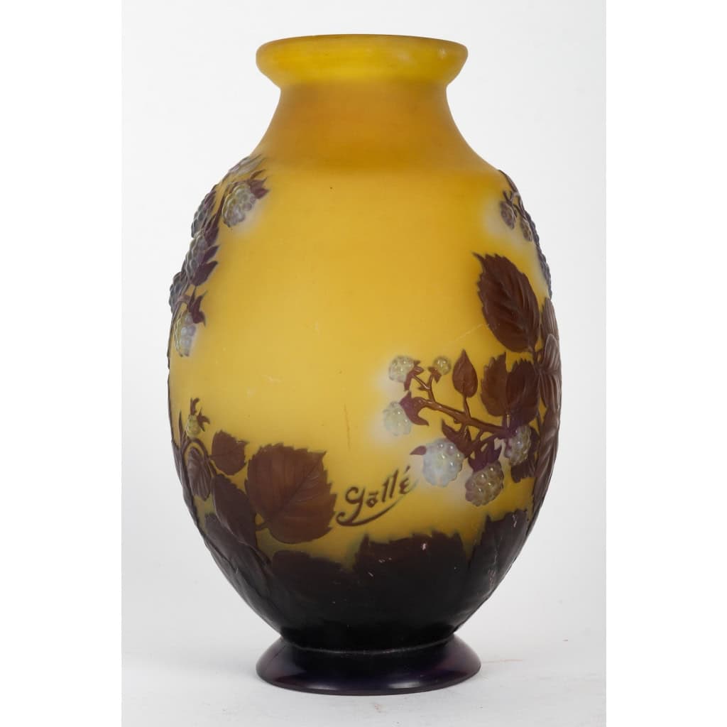 Émile Gallé (1846-1904) Vase « Framboisier » en verre soufflé-moulé | Biron Émile Gallé (1846-1904) Vase « Framboisier » en verre soufflé-moulé