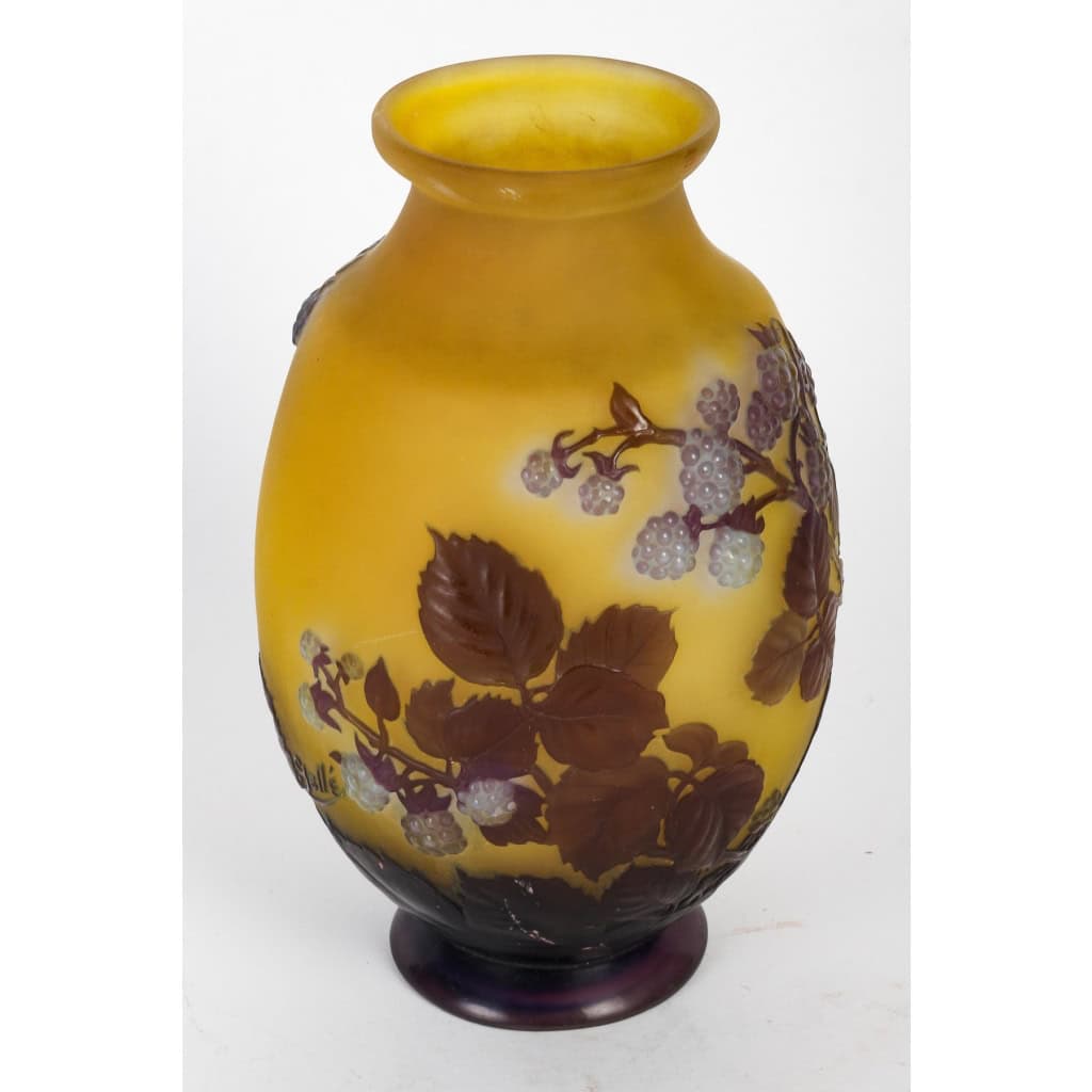 Émile Gallé (1846-1904) Vase « Framboisier » en verre soufflé-moulé | Biron Émile Gallé (1846-1904) Vase « Framboisier » en verre soufflé-moulé