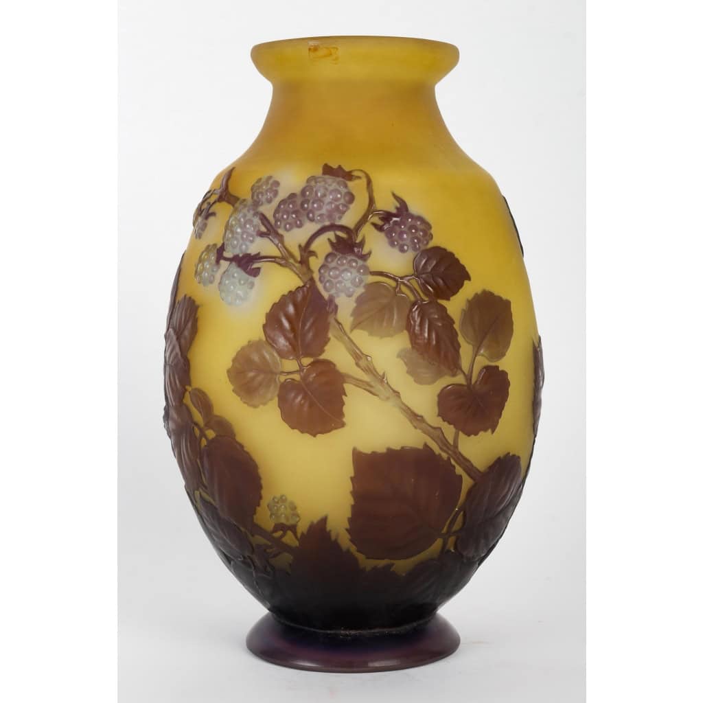 Émile Gallé (1846-1904) Vase « Framboisier » en verre soufflé-moulé | Biron Émile Gallé (1846-1904) Vase « Framboisier » en verre soufflé-moulé