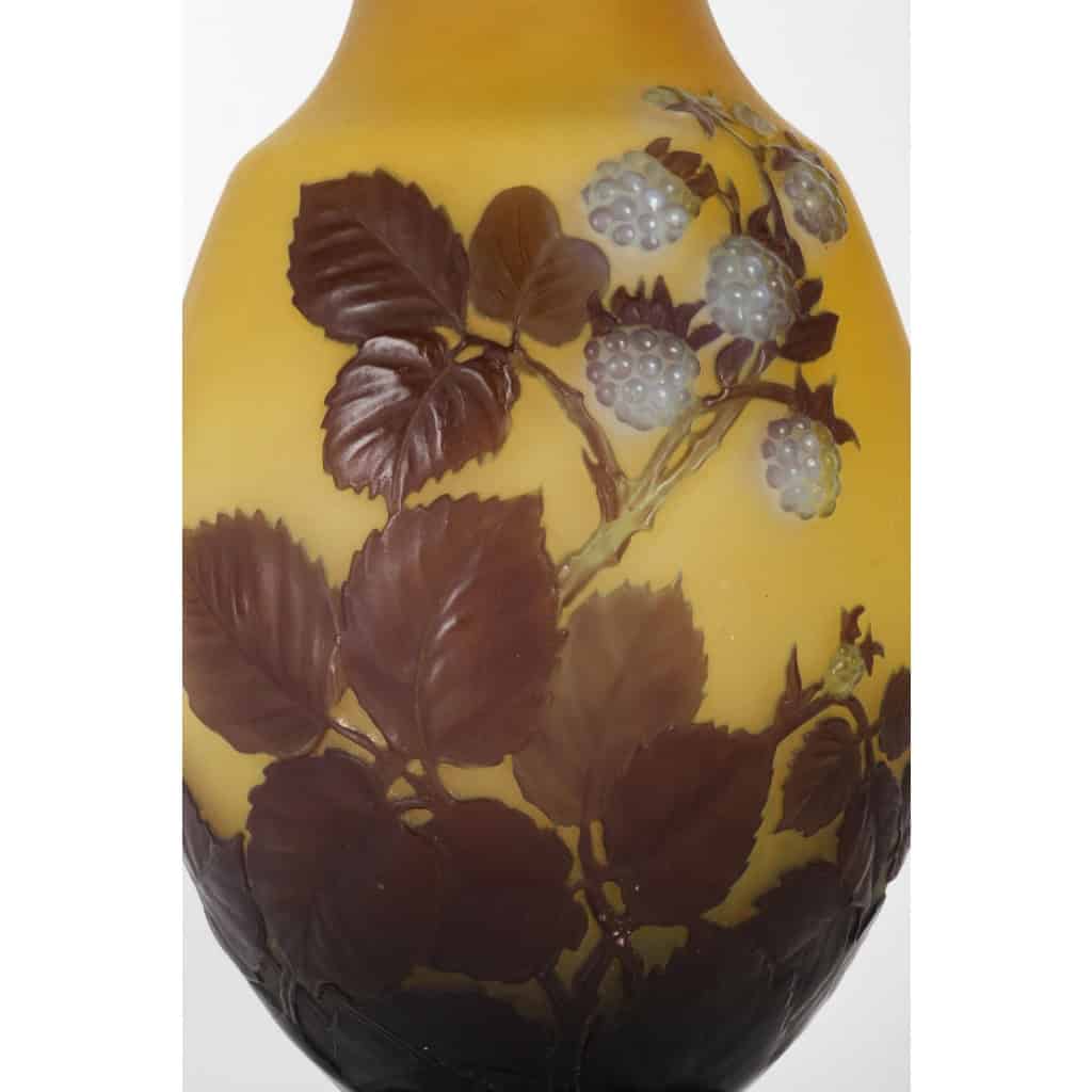 Émile Gallé (1846-1904) Vase « Framboisier » en verre soufflé-moulé | Biron Émile Gallé (1846-1904) Vase « Framboisier » en verre soufflé-moulé