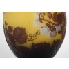 Émile Gallé (1846-1904) Vase « Framboisier » en verre soufflé-moulé | Biron Émile Gallé (1846-1904) Vase « Framboisier » en verre soufflé-moulé