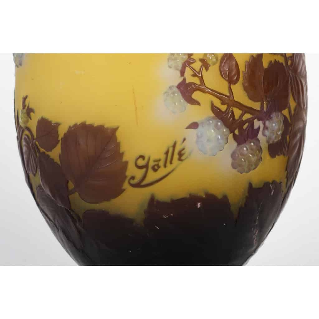 Émile Gallé (1846-1904) Vase « Framboisier » en verre soufflé-moulé | Biron Émile Gallé (1846-1904) Vase « Framboisier » en verre soufflé-moulé