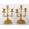 Une garniture en bronze doré de style louis XV fin XIXème siècle | Biron Une garniture en bronze doré de style louis XV fin XIXème siècle